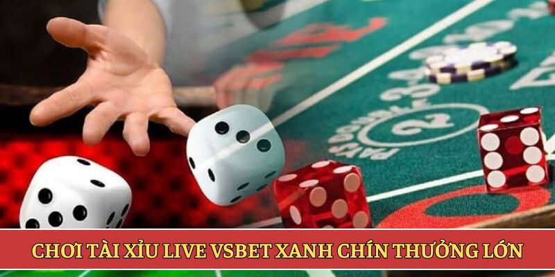 Chơi tài xỉu live VSBET xanh chín thưởng lớn