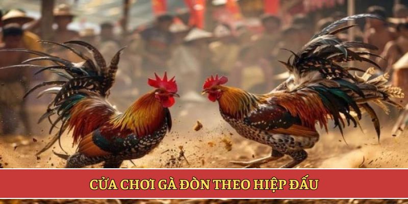 Cửa chơi gà đòn theo hiệp đấu