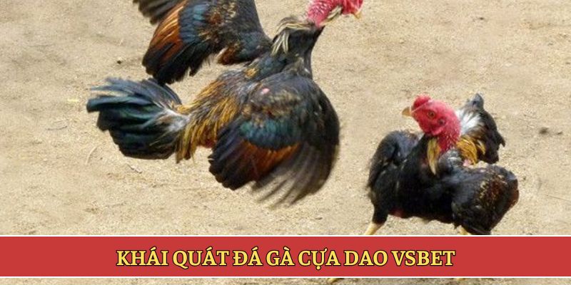 Khái quát đá gà cựa dao VSBET