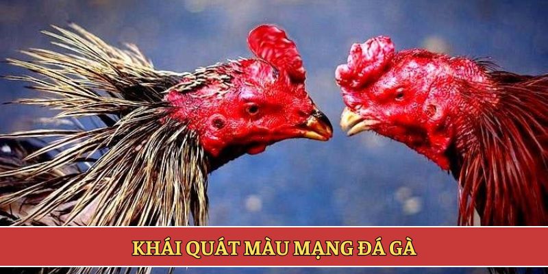 Khái quát màu mạng đá gà