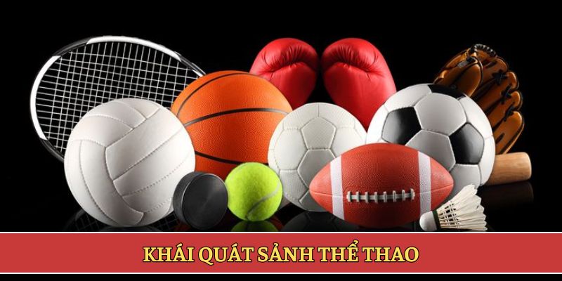 Khái quát sảnh thể thao