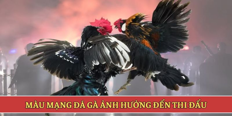 Màu mạng đá gà ảnh hưởng đến thi đấu